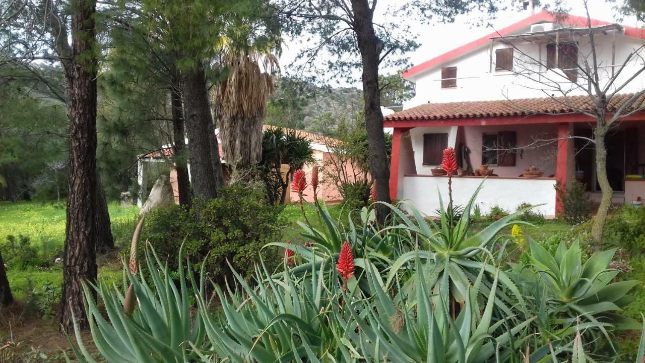 Chia Zeffiro Villa Exterior photo